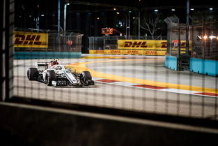 F1赛车赛场焦点！韩国队对阵德国队，体能极限考验，赛场硬仗一触即发